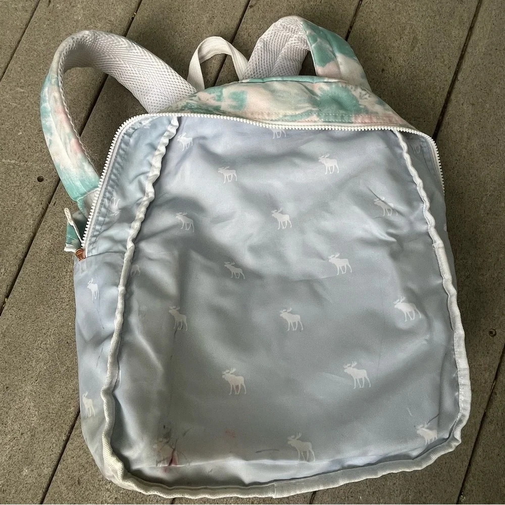 Abercrombie & Fitch Pastel Green‎ Pink Girls School Backpack Moose Charm